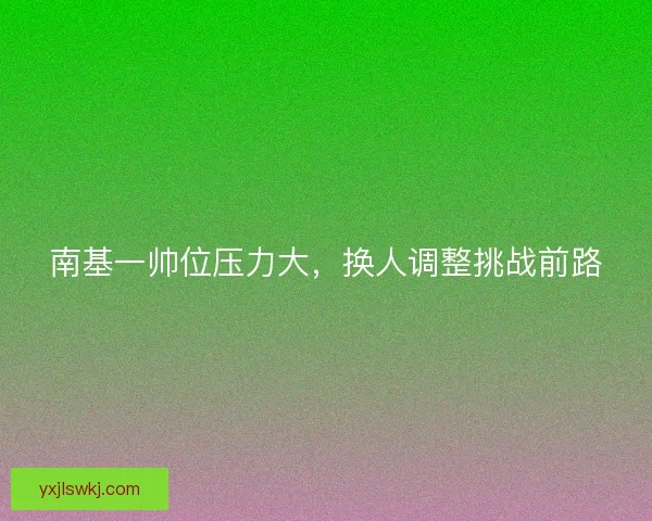 南基一帅位压力大,换人调整挑战前路 南基一帅位压力大,换人调整挑战前路