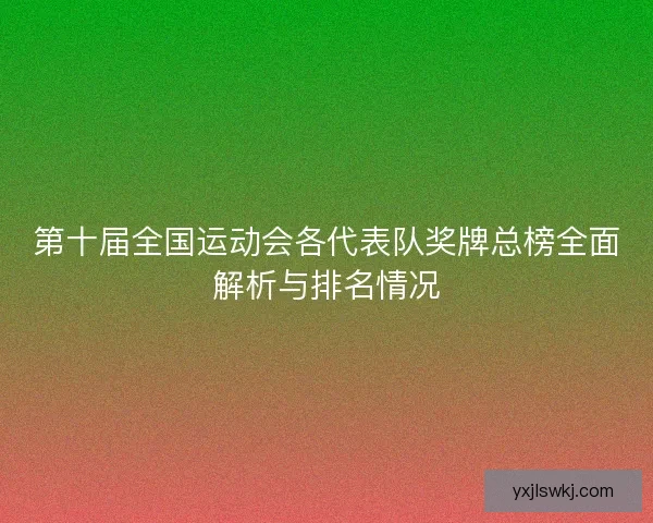 第十届全国运动会各代表队奖牌总榜全面解析与排名情况